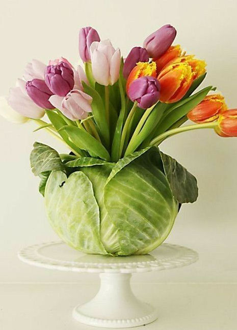 Liliaceae Liliaceae - Tulipas