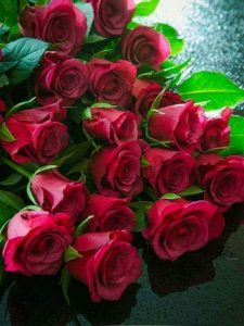 rosas-naturais-foto-33