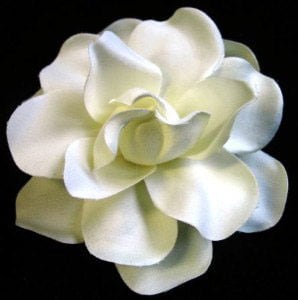 gardenia-foto.-78