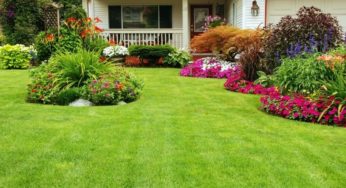 5 dicas para manter o seu jardim bem cuidado