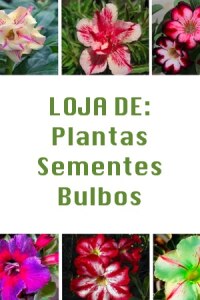 banner_plantas