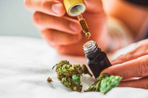 Descubra os benefícios do óleo de cannabis