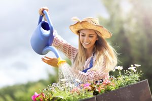 A Importância da Água para as Plantas: Entenda o Processo, Benefícios e Malefícios