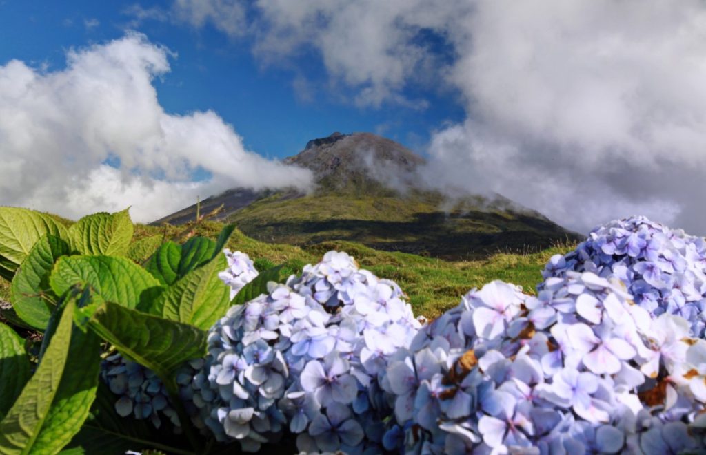 Descobrindo as Cores das Ilhas dos Açores
