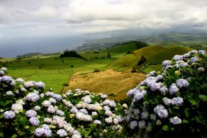 Descobrindo as Cores das Ilhas dos Açores