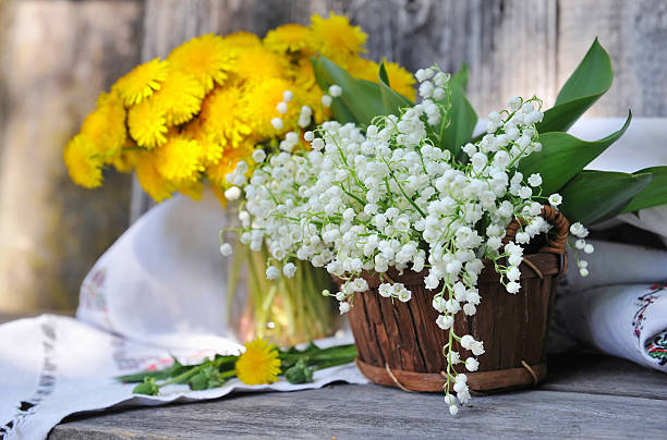 Encanto Botânico: A Delicada Convallaria majalis em Exterior Encanto Botânico: A Delicada Convallaria majalis