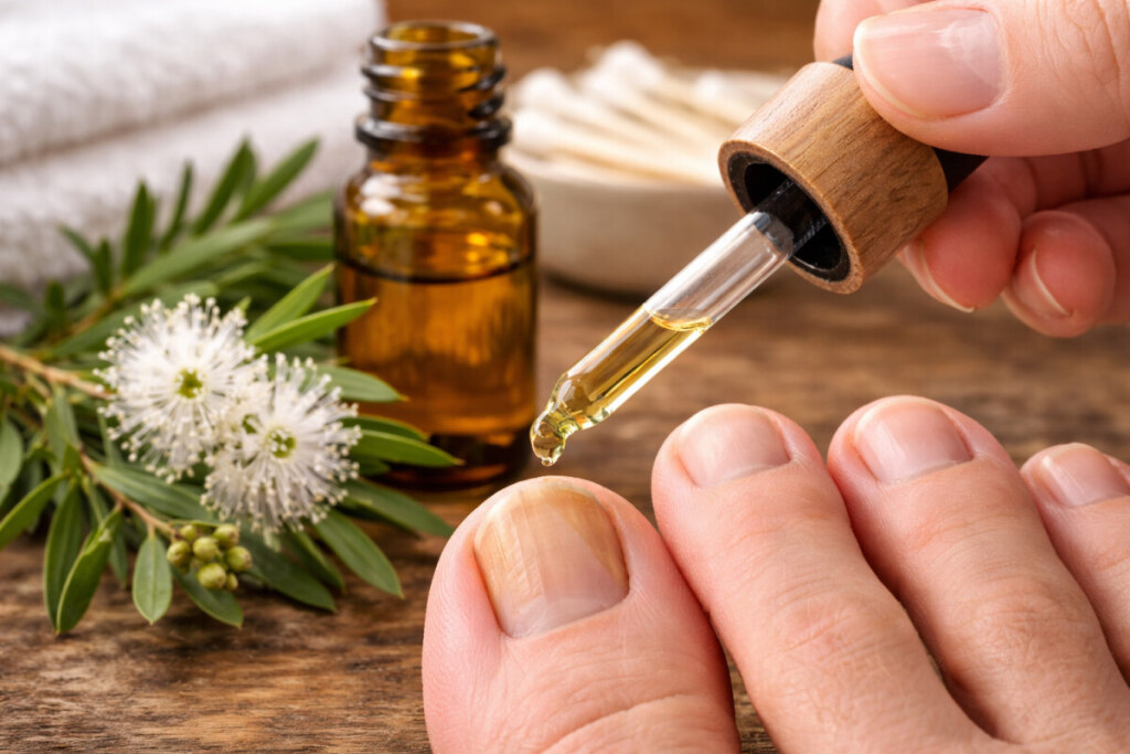 Melaleuca alternifolia: para que serve esta planta medicinal? em Plantas medicinais óleo de Melaleuca alternifolia